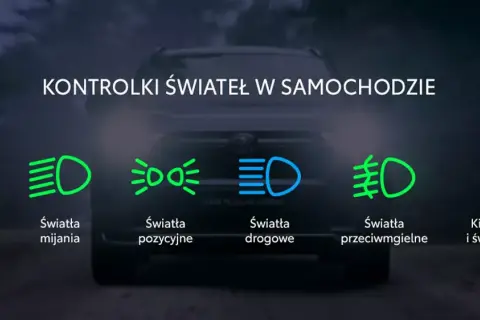 Ikony świateł w samochodzie: dzienne, mijania, pozycyjne, drogowe, przeciwmgielne, kierunkowskazy i awaryjne.