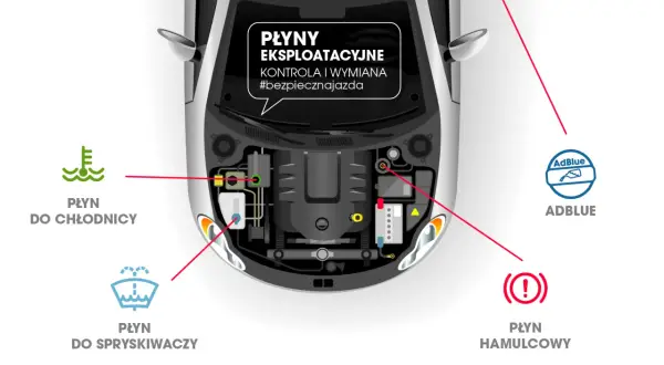 Schemat płynów eksploatacyjnych w aucie. Płyn hamulcowy wymaga regularnej kontroli i wymiany, by zapewnić bezpieczeństwo jazdy.